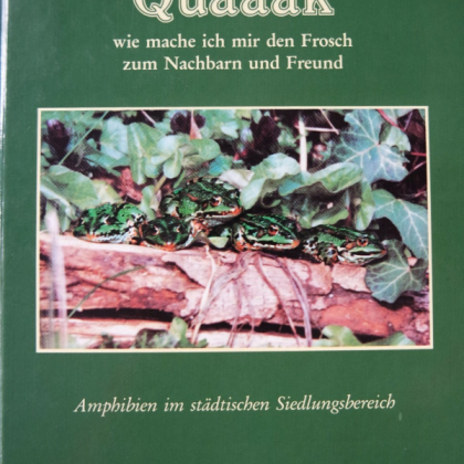 Quaak, wie mache ich mir den Frosch zum Nachbarn und Freund